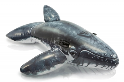      Intex 57530NP Realistic Whale Ride-On ( 3 )
