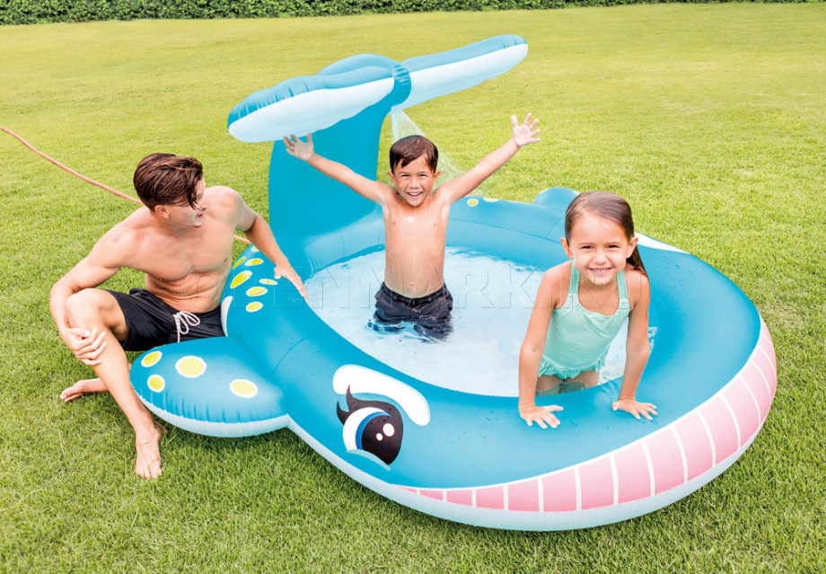       Intex 57440NP Whale Spray Pool ( 2 )