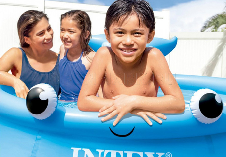   Intex 26102NP Jolly Whale Easy Set Pool (183  51 )
