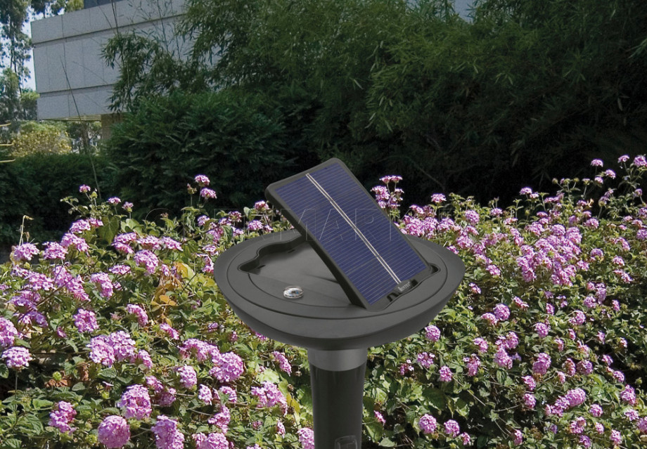  Intex 28689 Lawn Brite Solar LED Landscape Laght