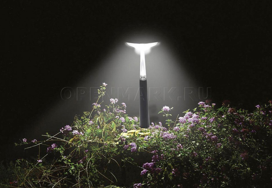   Intex 28689 Lawn Brite Solar LED Landscape Laght