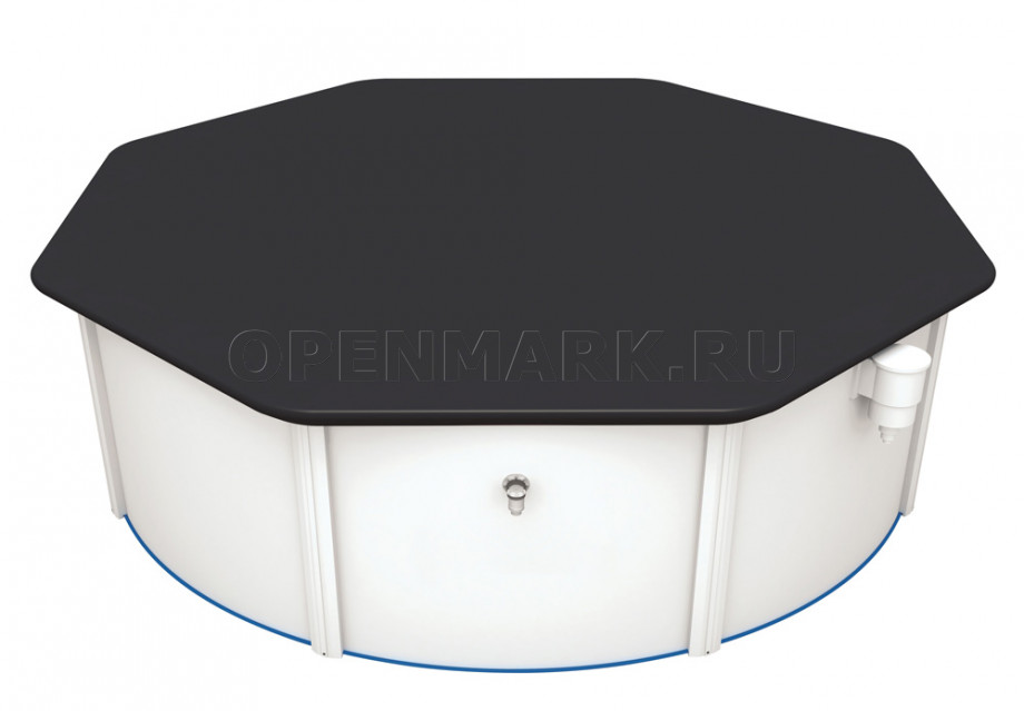    Bestway 58292 Pool Cover ( 401 )