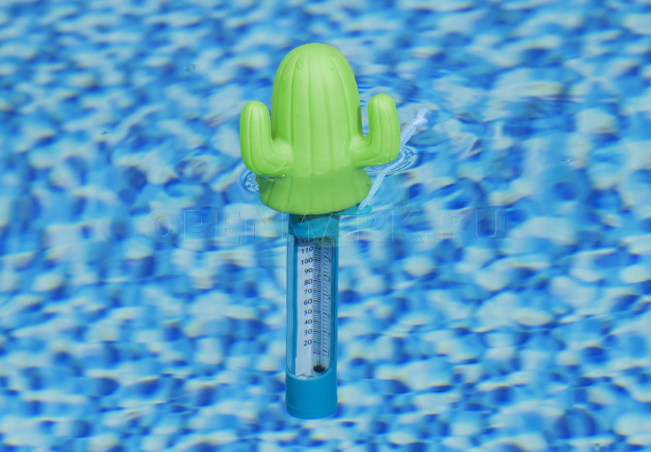    Bestway 58763 Decorative Floating Pool Thermometer