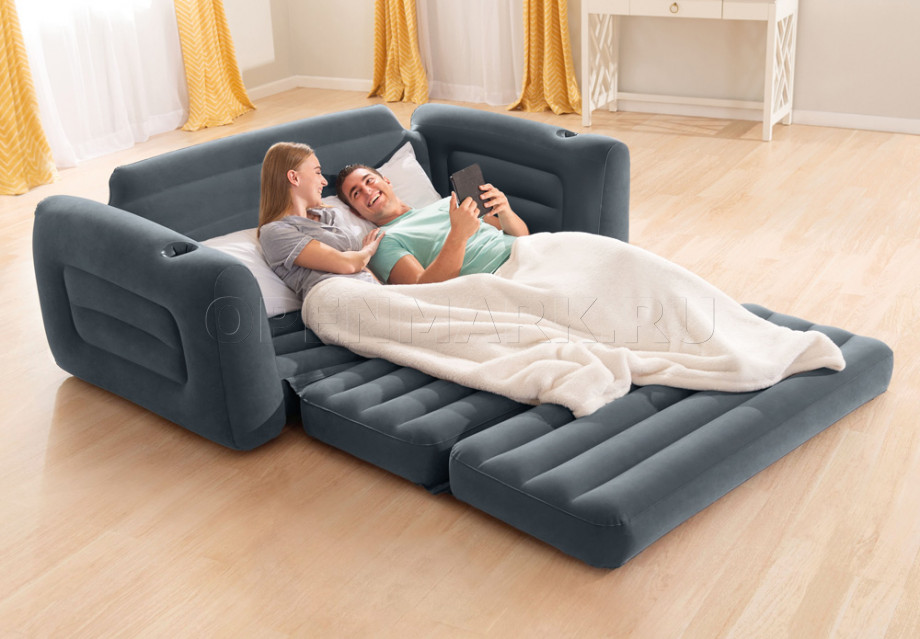    Intex 66552NP Pull-Out Sofa (,  )