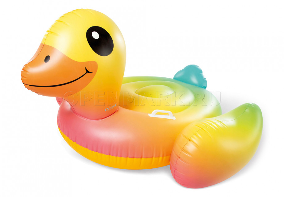    Intex 57556NP Baby Duck Ride-On (147  147  81 )