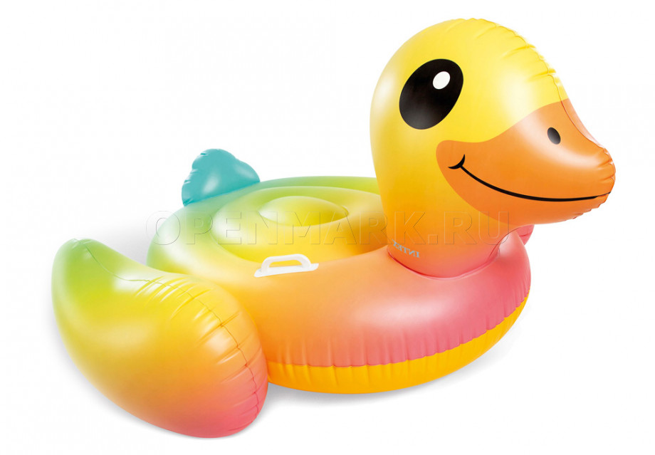    Intex 57556NP Baby Duck Ride-On (147  147  81 )