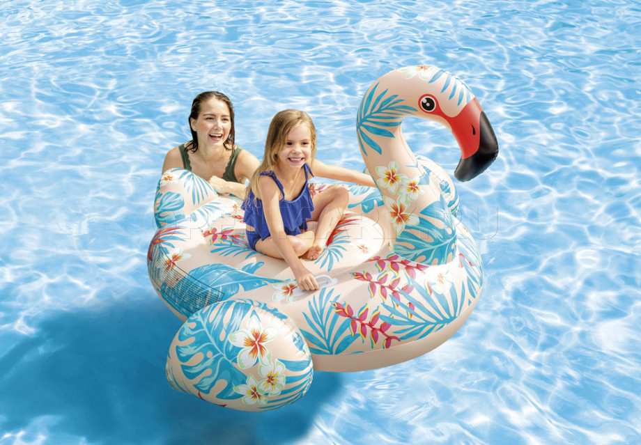    Intex 57559NP Tropical Flamingo Ride-On (147  140  94 )