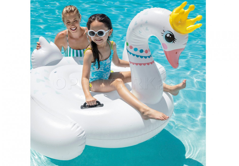    Intex 57562NP Majestic Swan Ride-On (142  137  99 )