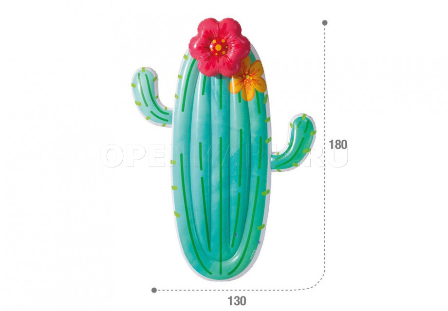      Intex 58793EU Cactus Float (180  130  28 )