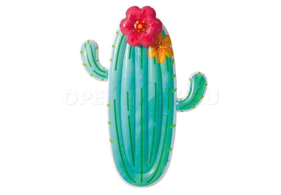      Intex 58793EU Cactus Float (180  130  28 )