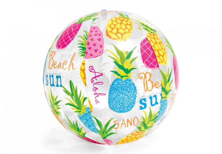    51  Intex 59040NP Lively Print Balls ( 3 )