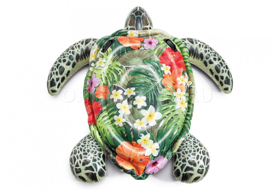        Intex 57555NP Realistic Sea Turtle Ride-On ( 3 )