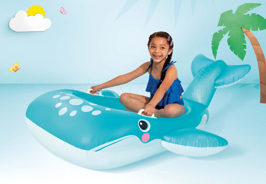       Intex 57567NP Blue Whale Ride-On ( 3 )