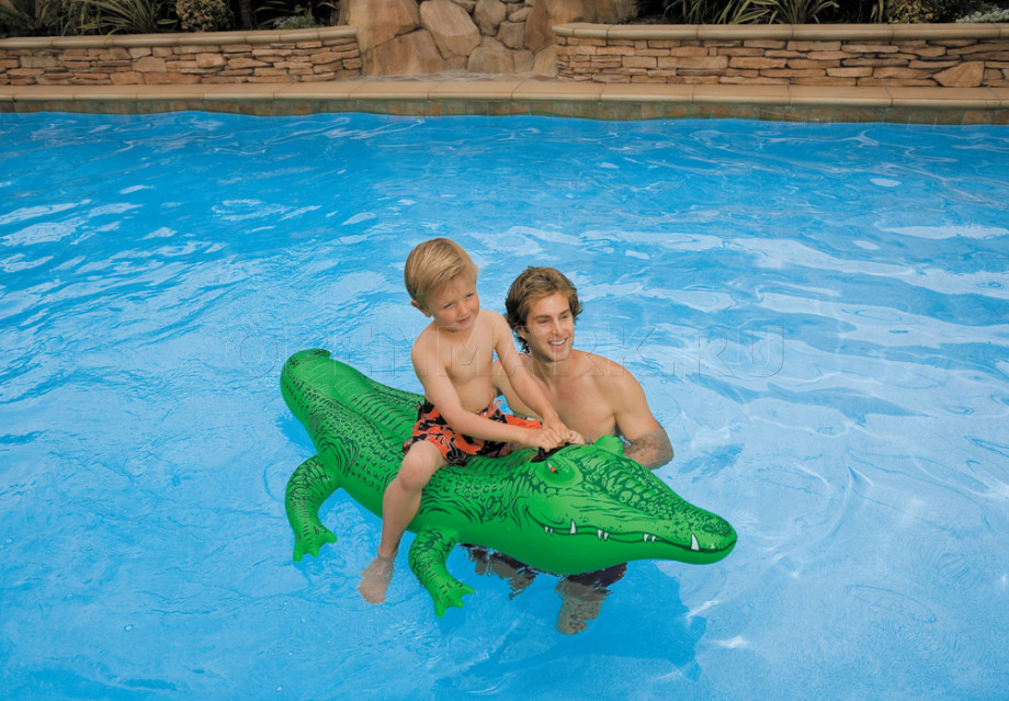       Intex 58546NP Lil Gator Ride-On ( 3 )