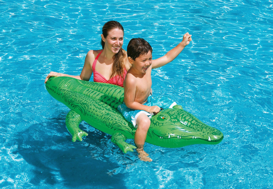       Intex 58546NP Lil Gator Ride-On ( 3 )