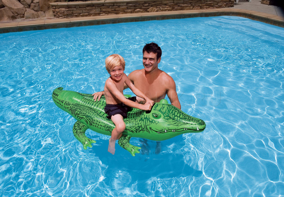       Intex 58546NP Lil Gator Ride-On ( 3 )