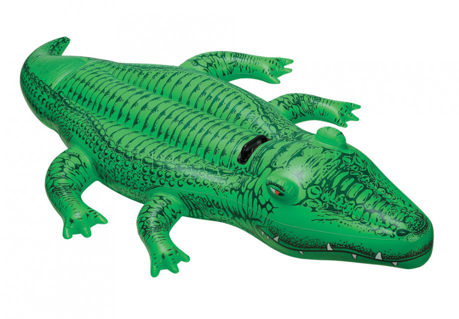       Intex 58546NP Lil Gator Ride-On ( 3 )