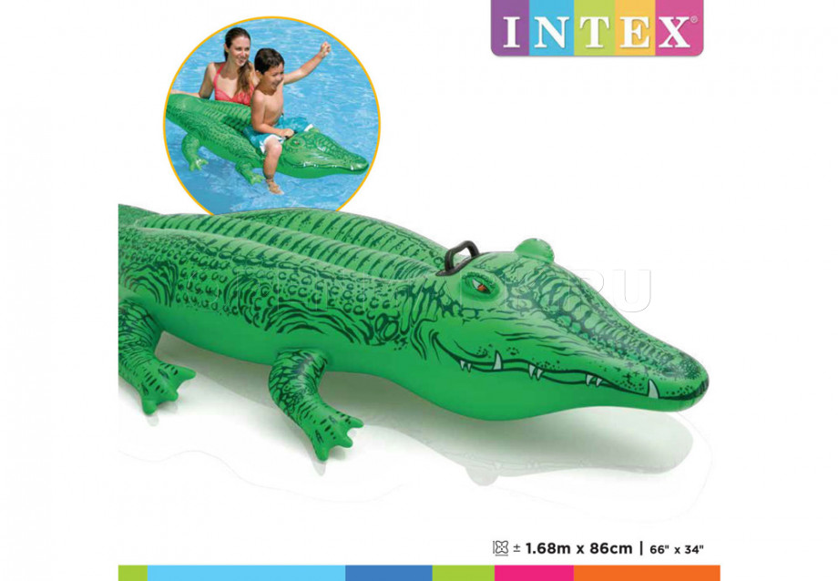       Intex 58546NP Lil Gator Ride-On ( 3 )