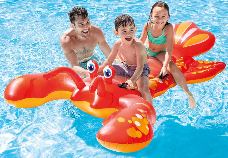       Intex 57528NP Lobster Ride-On ( 3 )